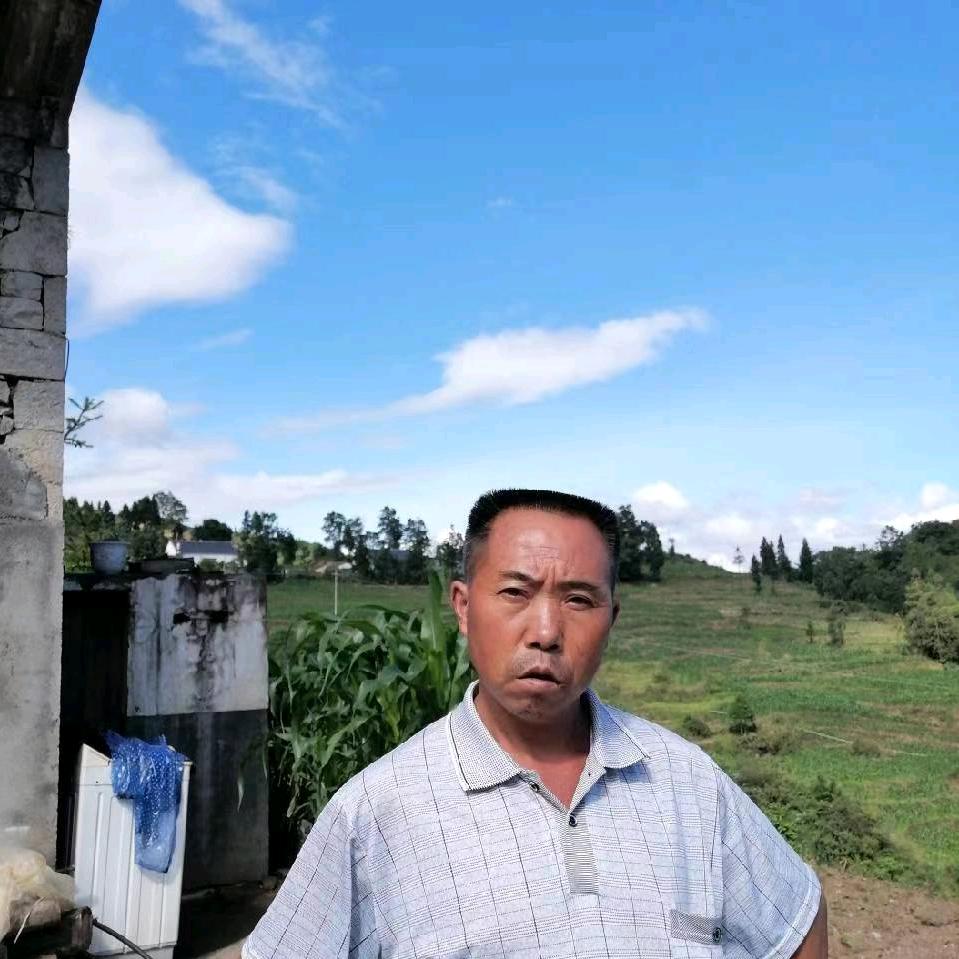 遗忘的玫瑰花