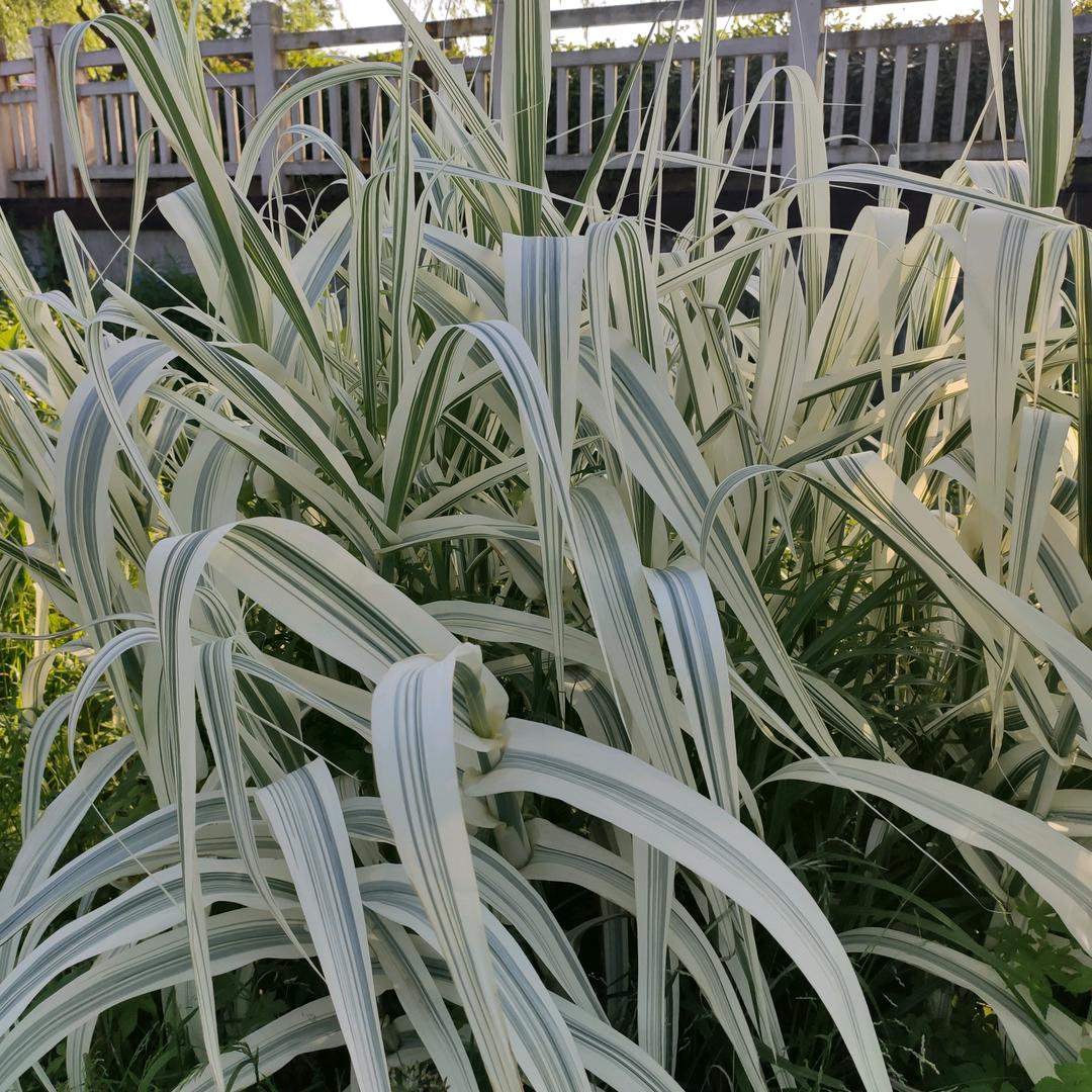 莫生气