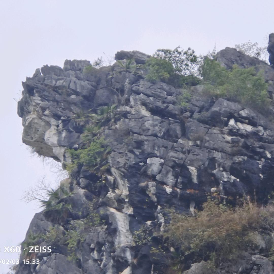 （糖谈）鑫。。。。