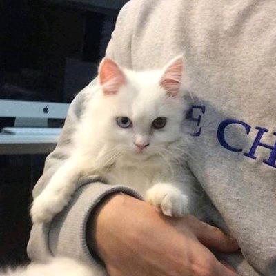 离悦
