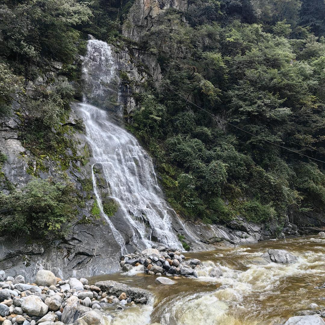 弱电你成哥