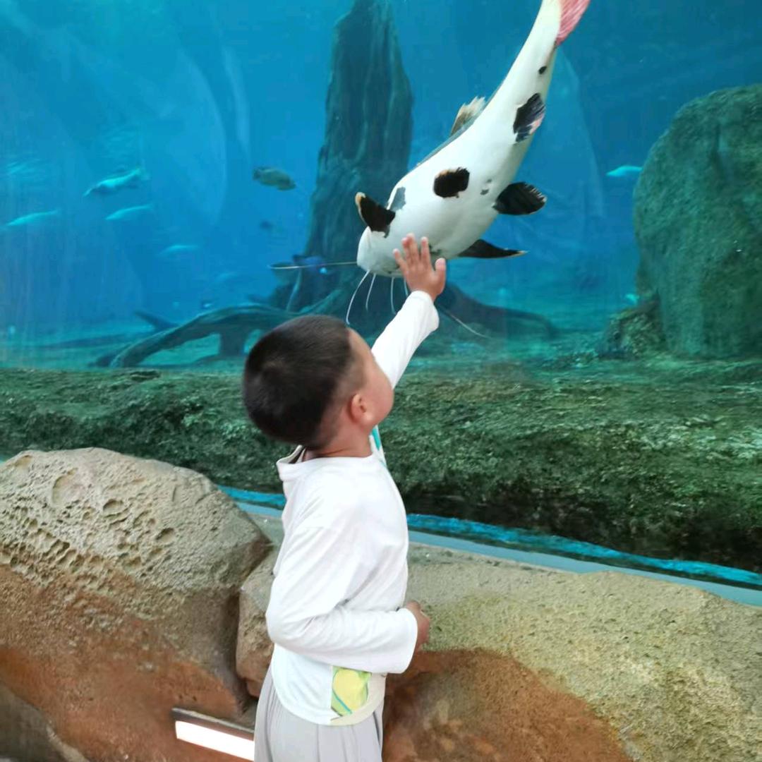 带着暖宝看世界