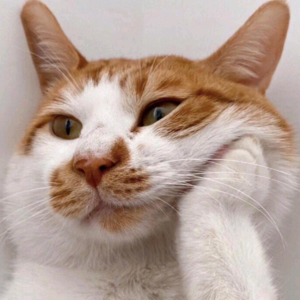 万科米高轮滑小米老师