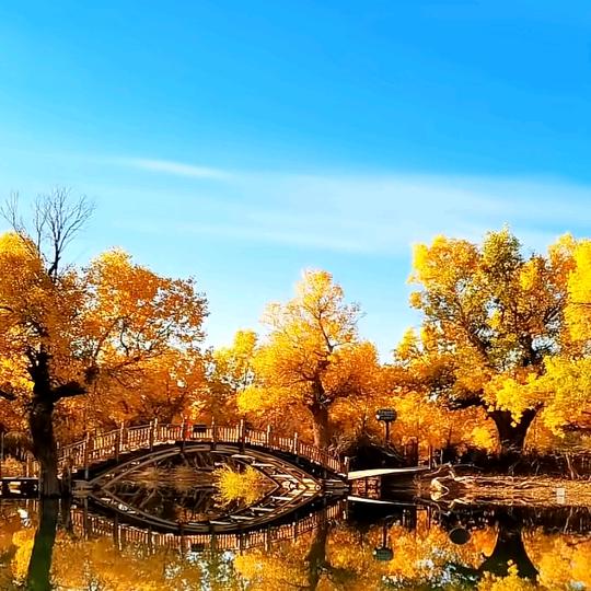 爱喝酒的牛肉面