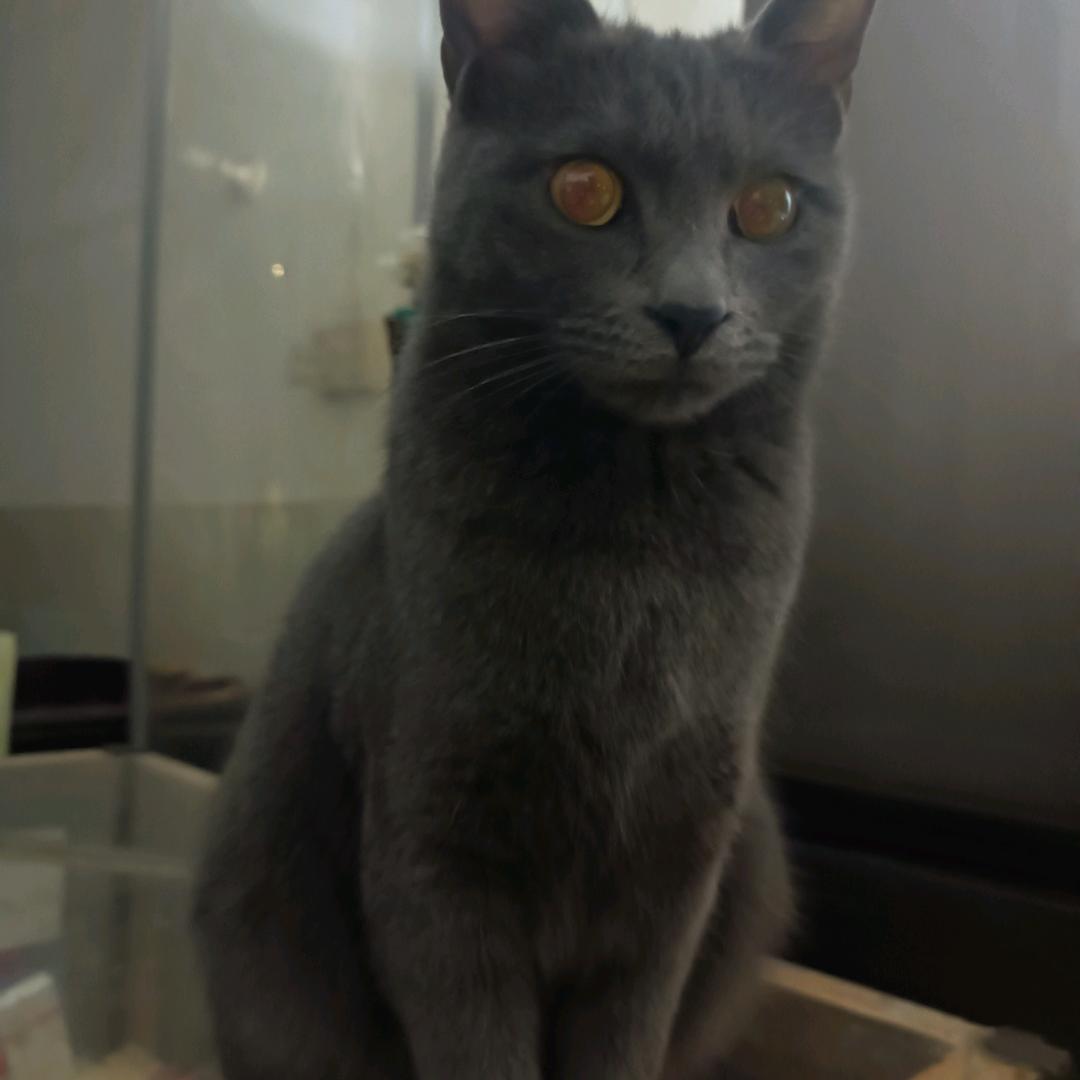 用户3658801318378开心快乐