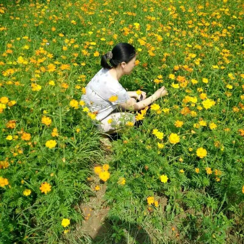 蓝怡好物