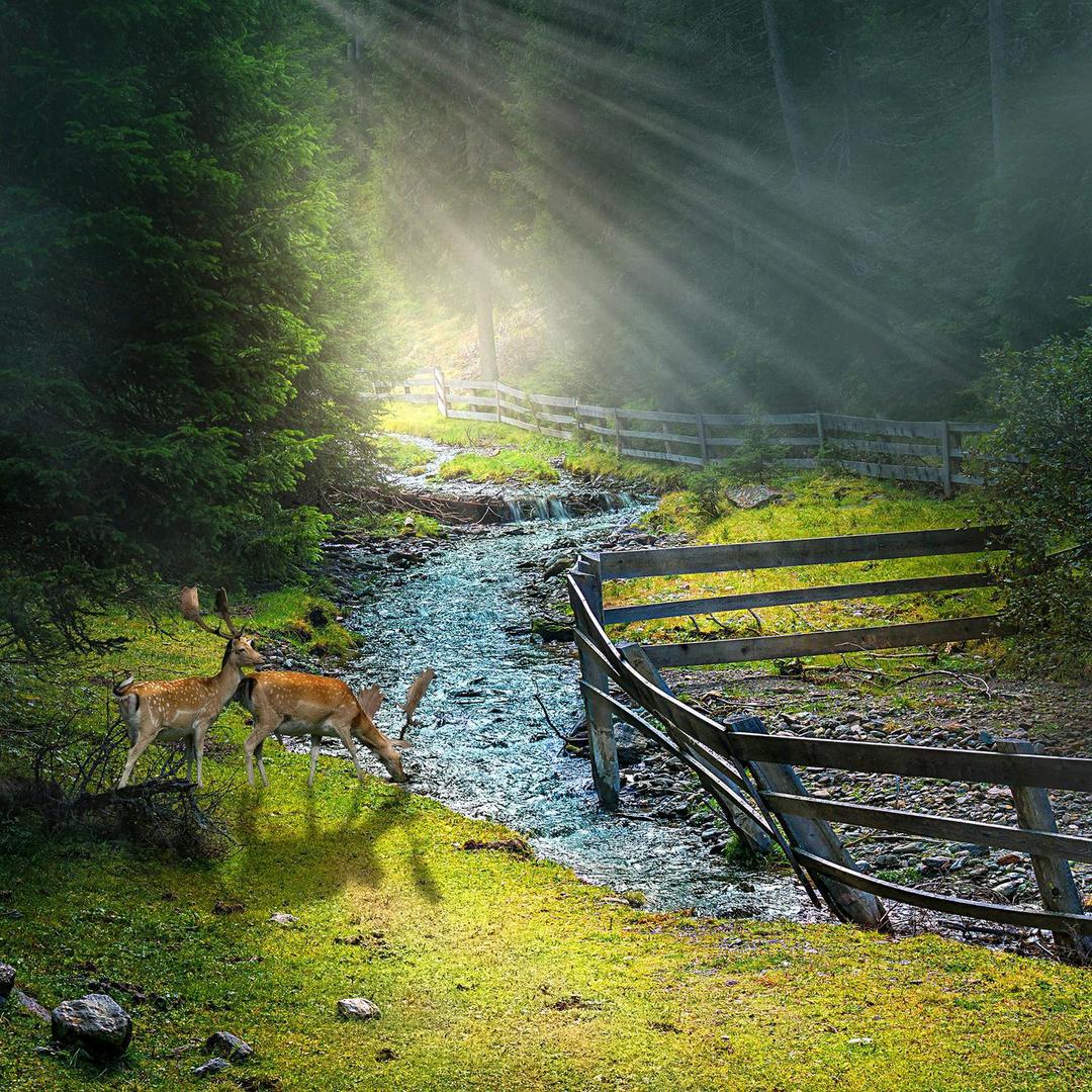 萌宝（永恒之塔2）