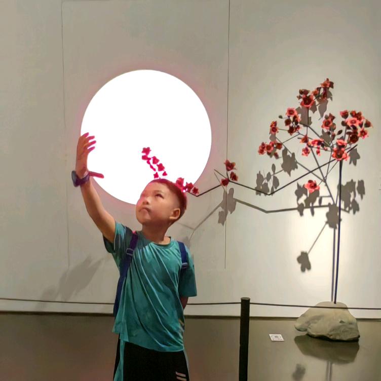 柳公子