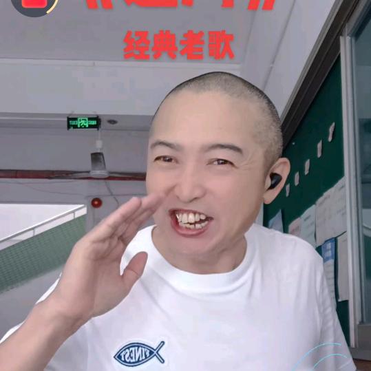 Zmh与世无争