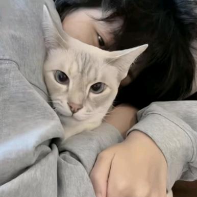 清漪