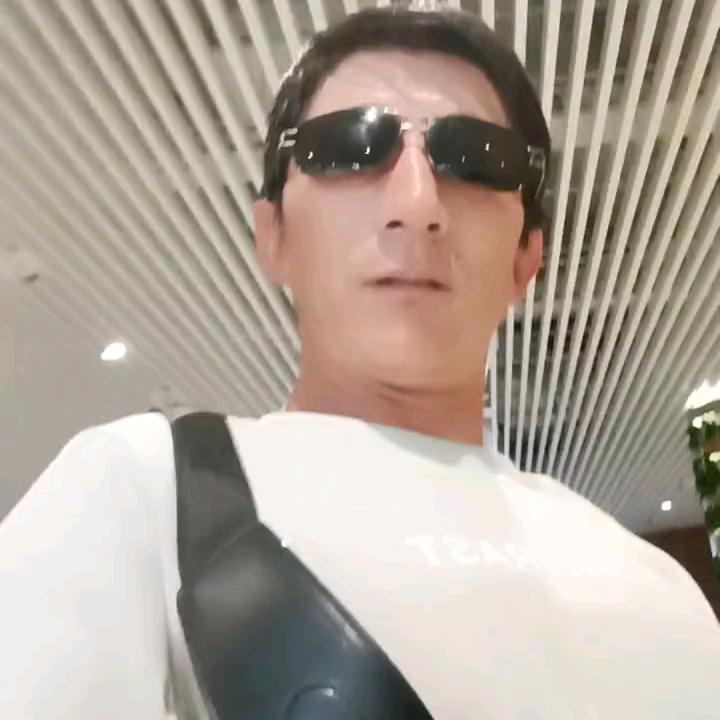 白日伍