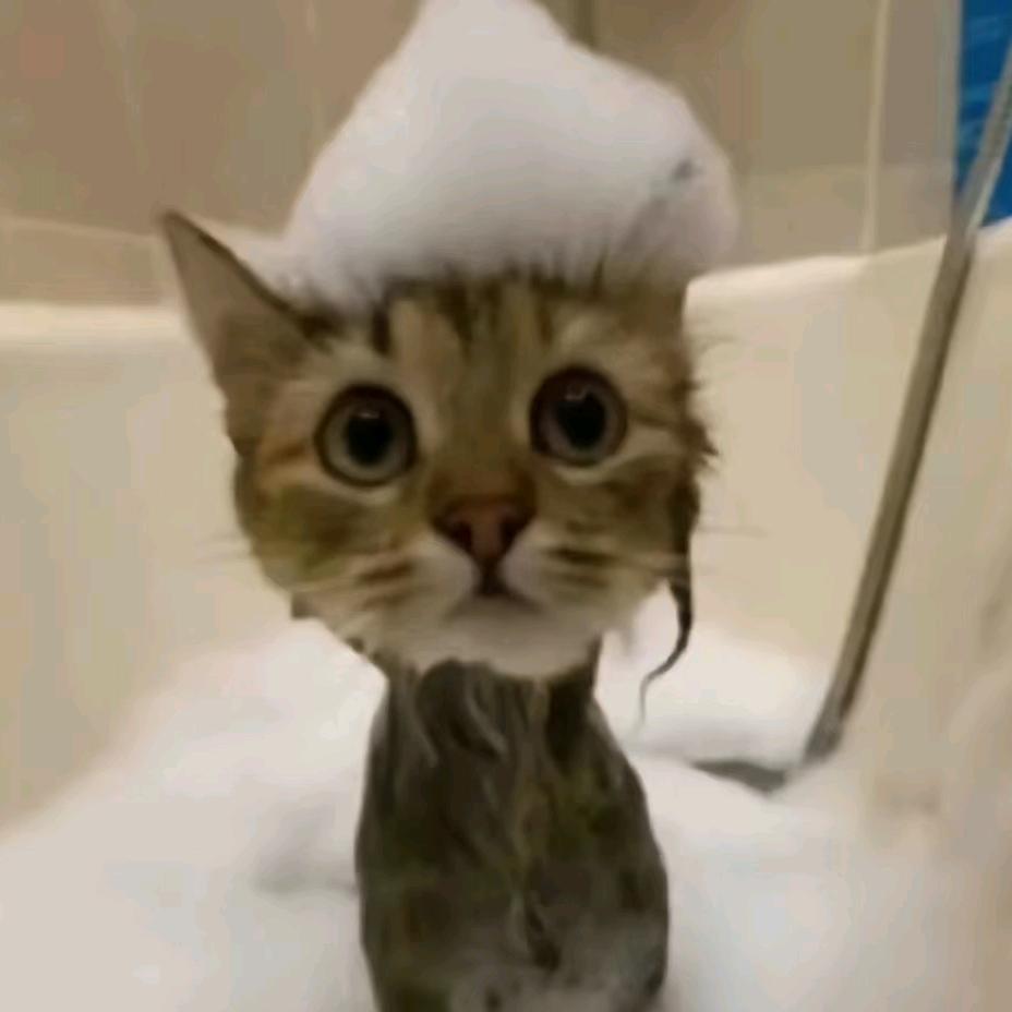 眠神(永劫，三角洲版)