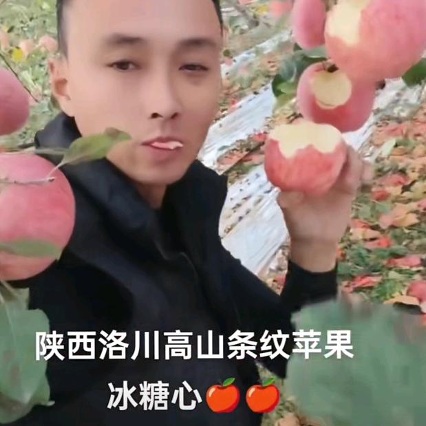 水果商业联盟～秦红军