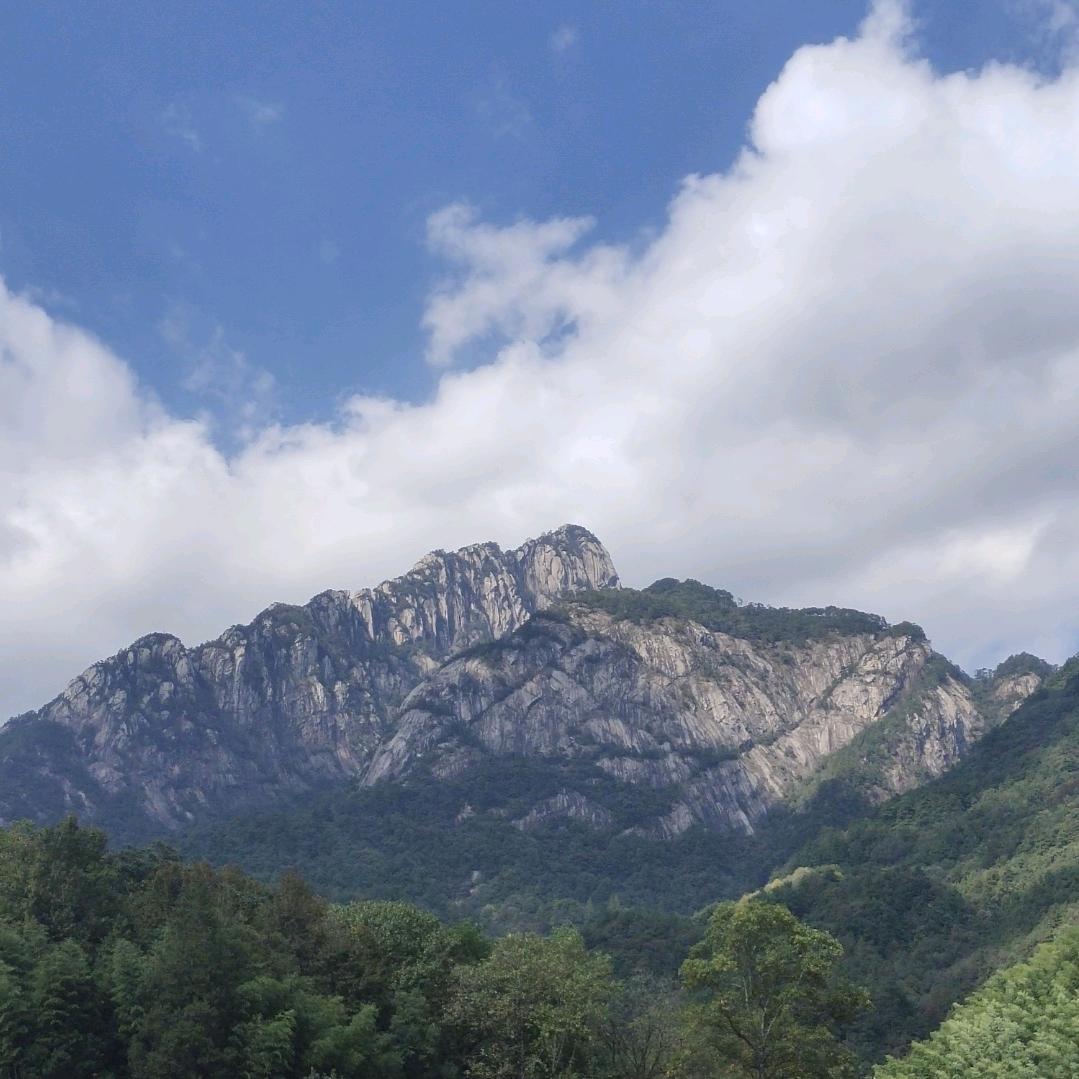 舜扬～汽车年审