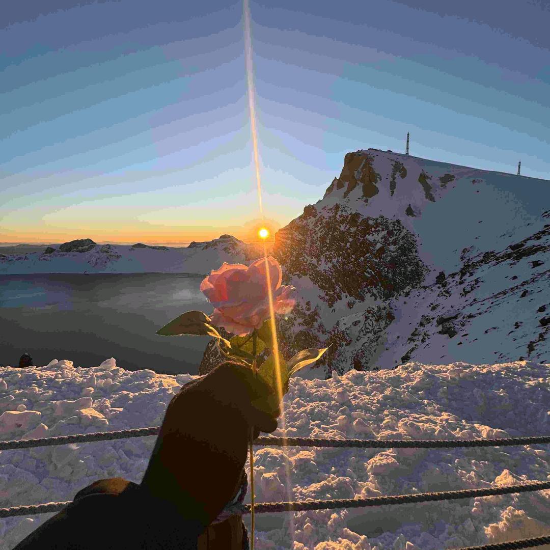 他人爱情里的军师