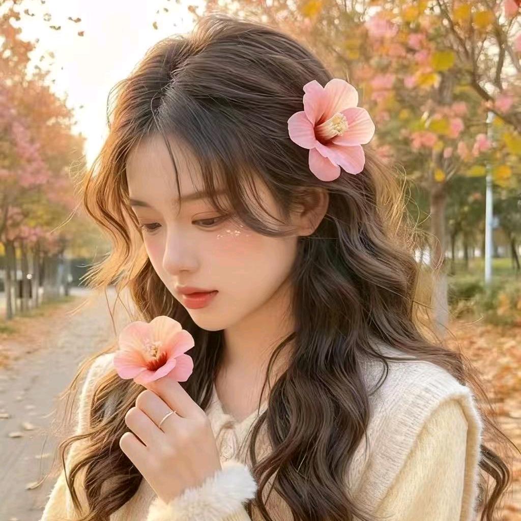 ✨好运🍀