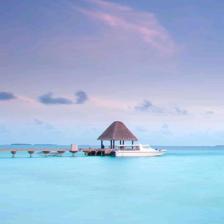 记录校园闪闪发光的你