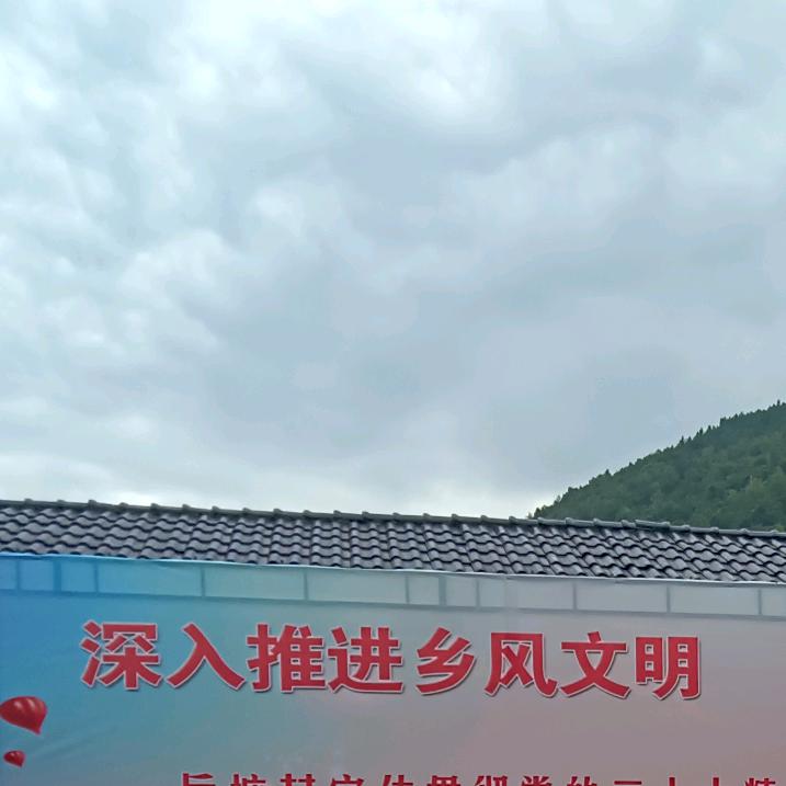 木工龙