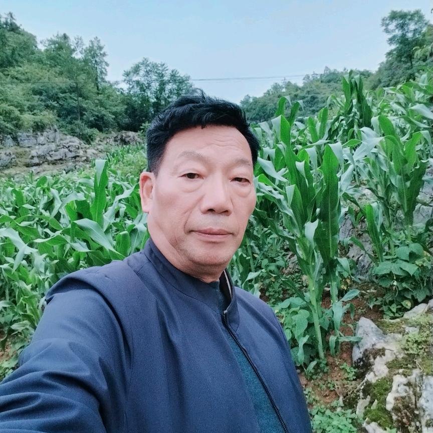 贾添下：首播下午16点28分