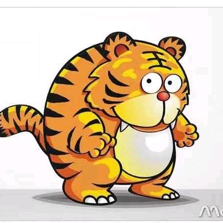 胖老虎🐯