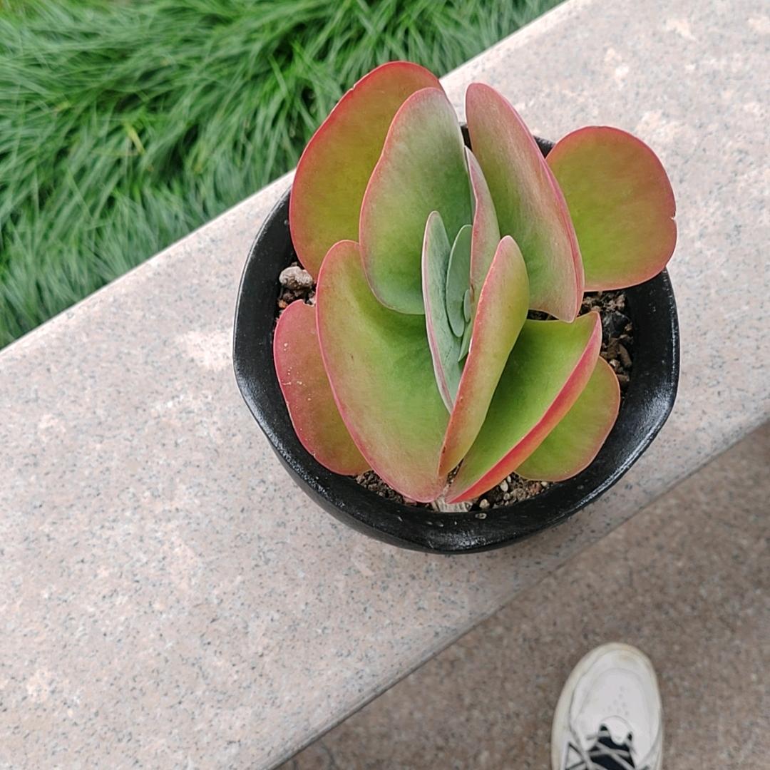 爱…
