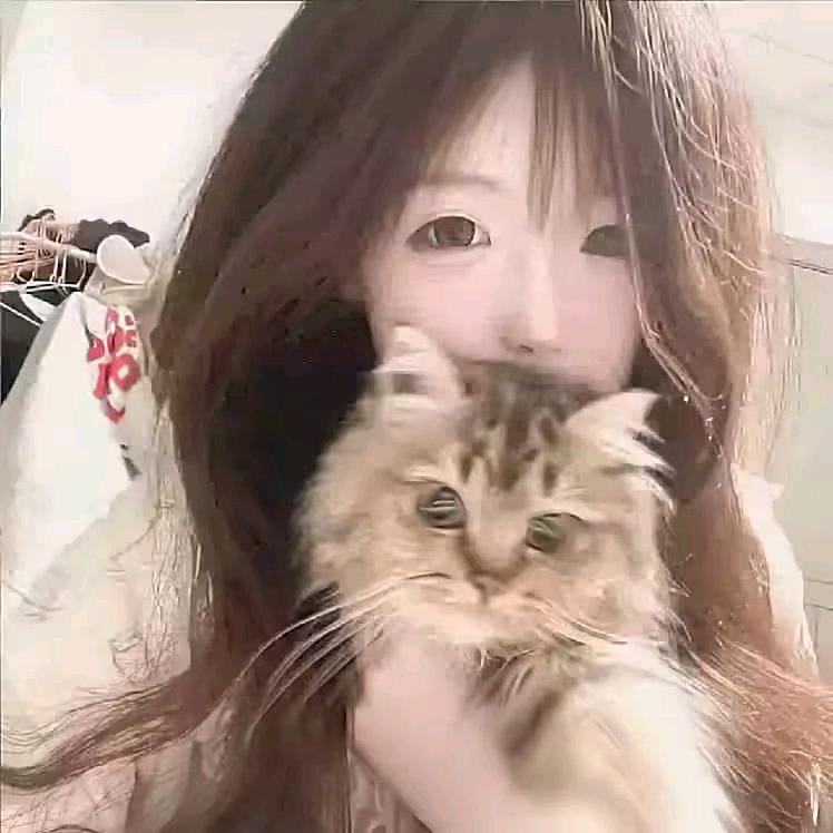 灰了个咪
