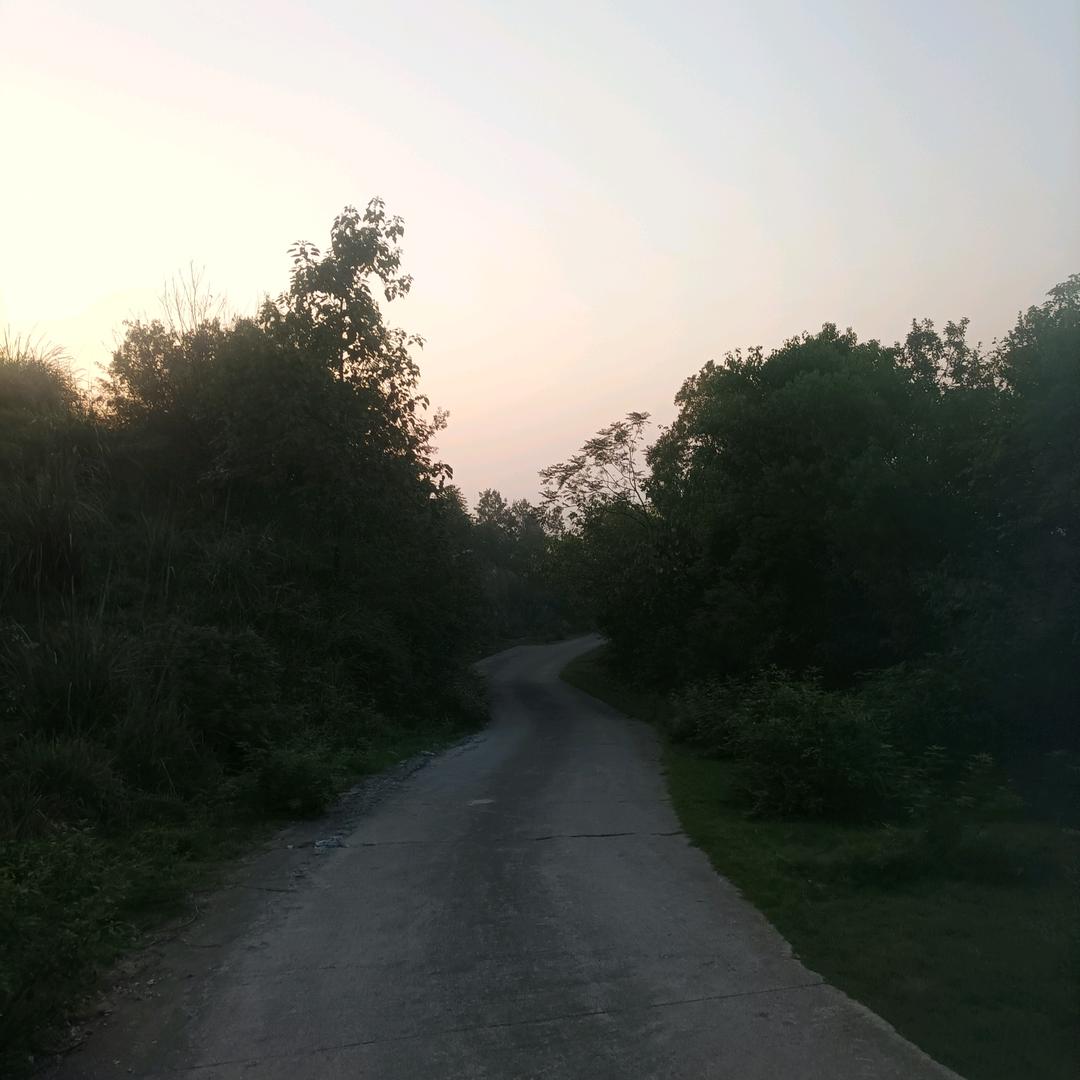 松丽林阳