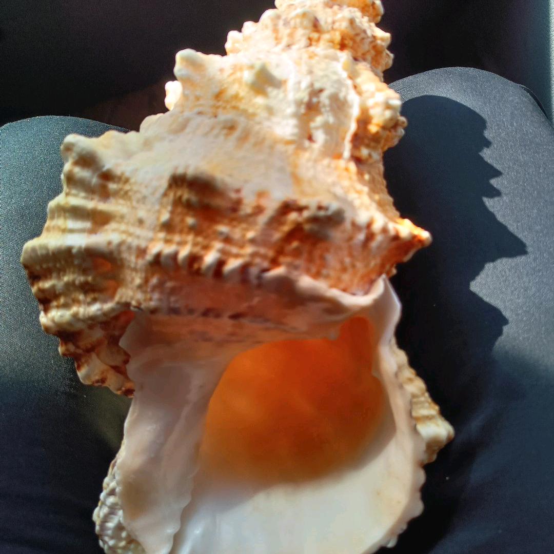 用户9336199482792北斗星