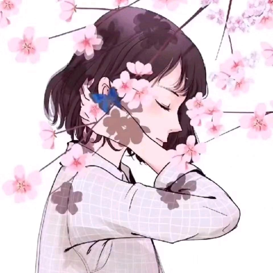 木棉树