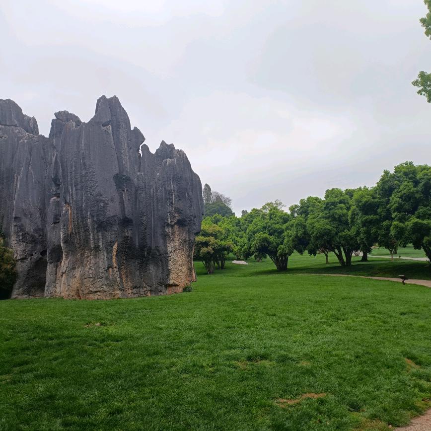 七龙珠