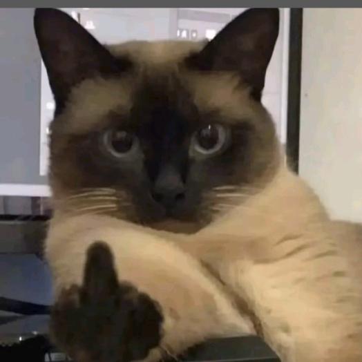 白扇(扬州团队新建收枪，收局头版)