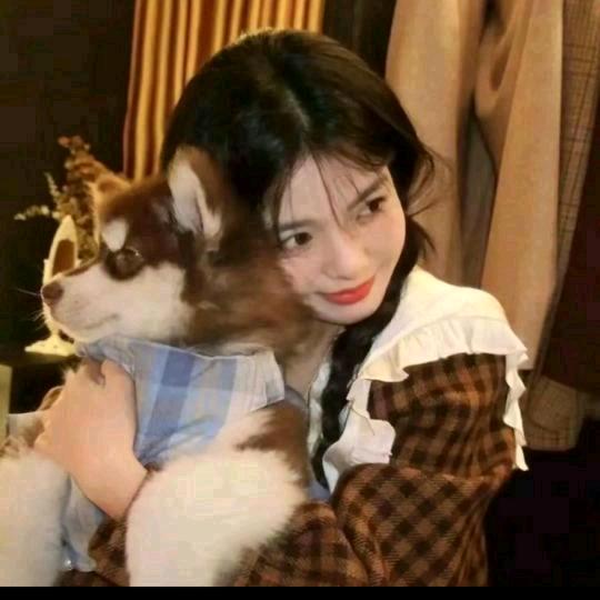 🍊🍊🍊🍊🍊🍊🍊