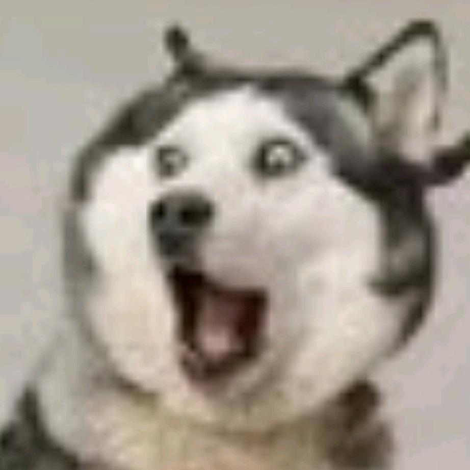 ꧁༺七࿈染༻꧂