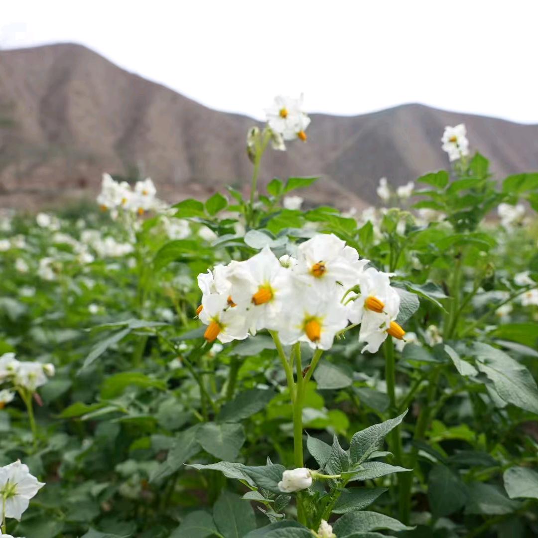 山⛰️宝宝👶🏻