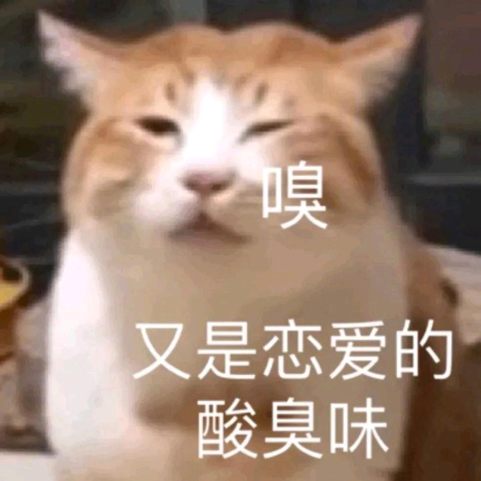 孤独的岛