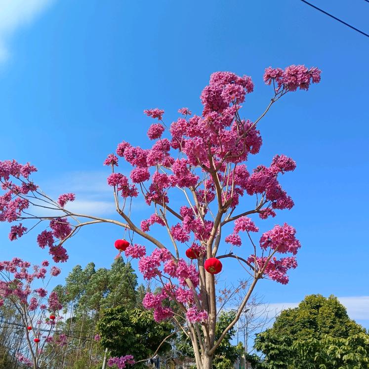 🌈好运加满🌈