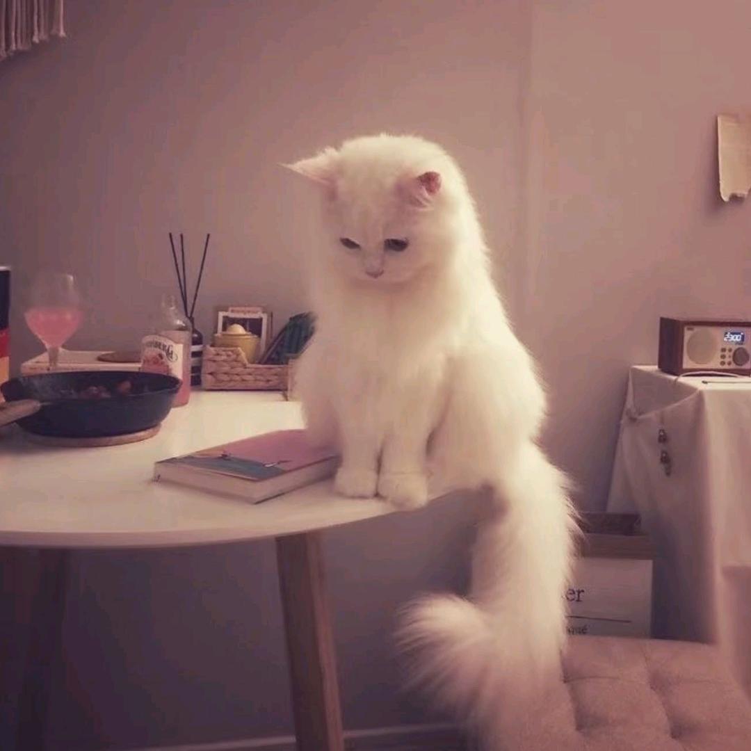 玄月。