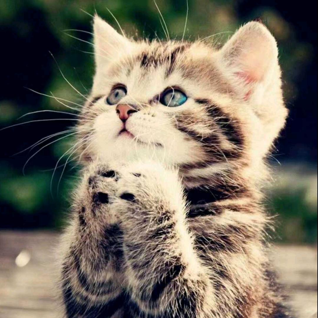 哦！！昂！！昂！！