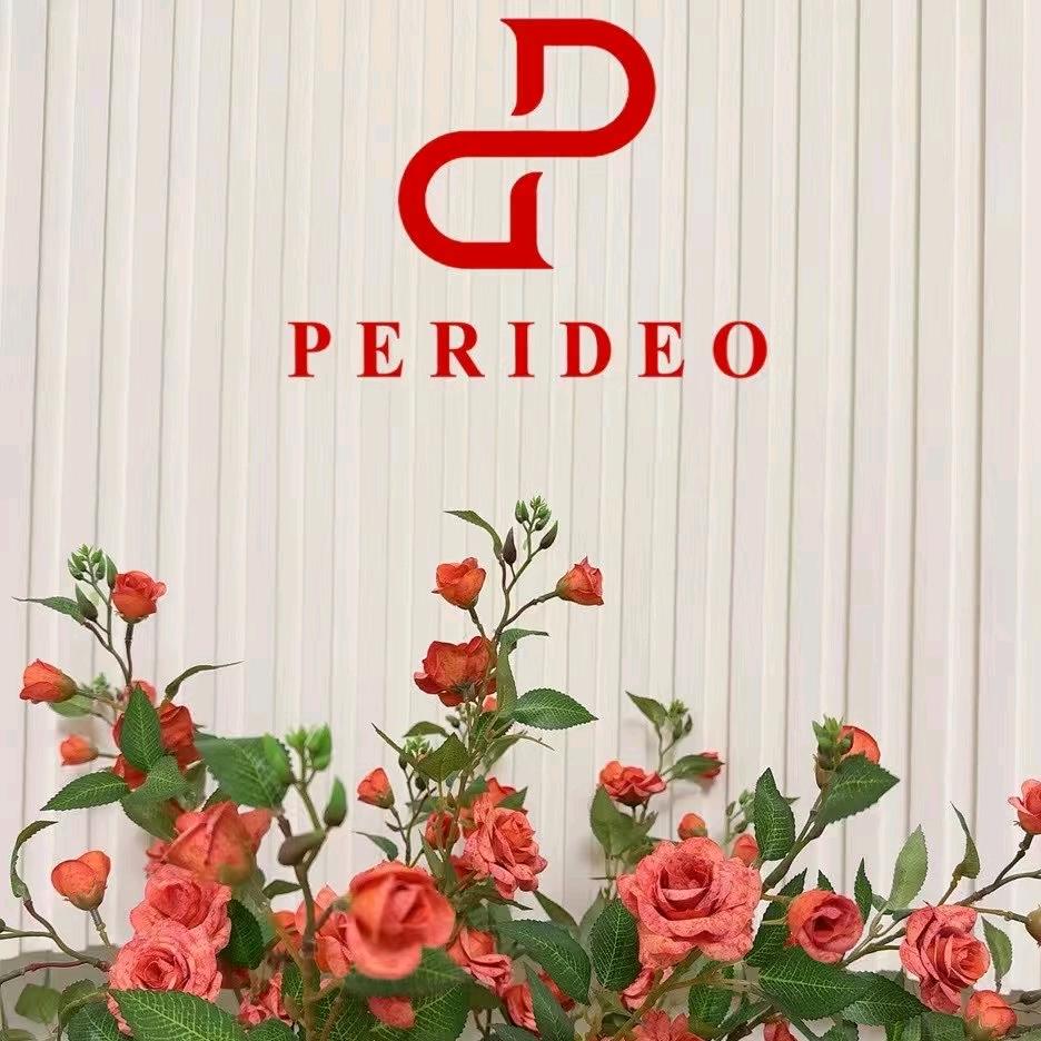 PERIDEO-代理人