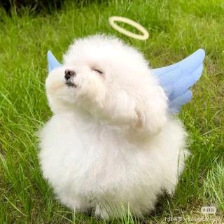 朱朱改衣无痕修复