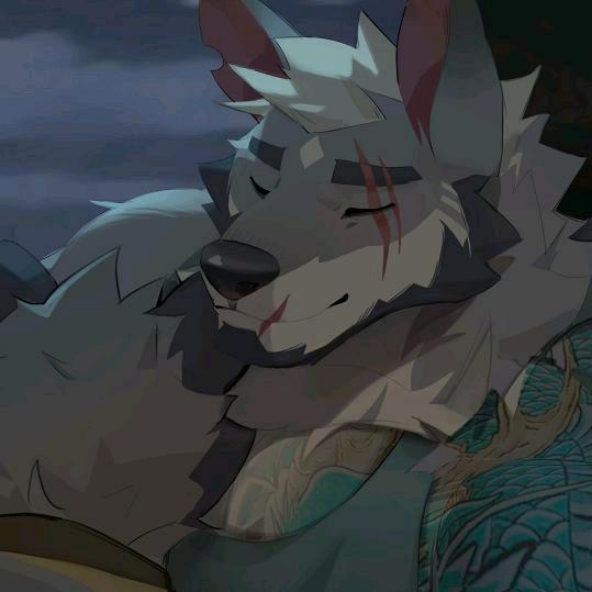 书云虎