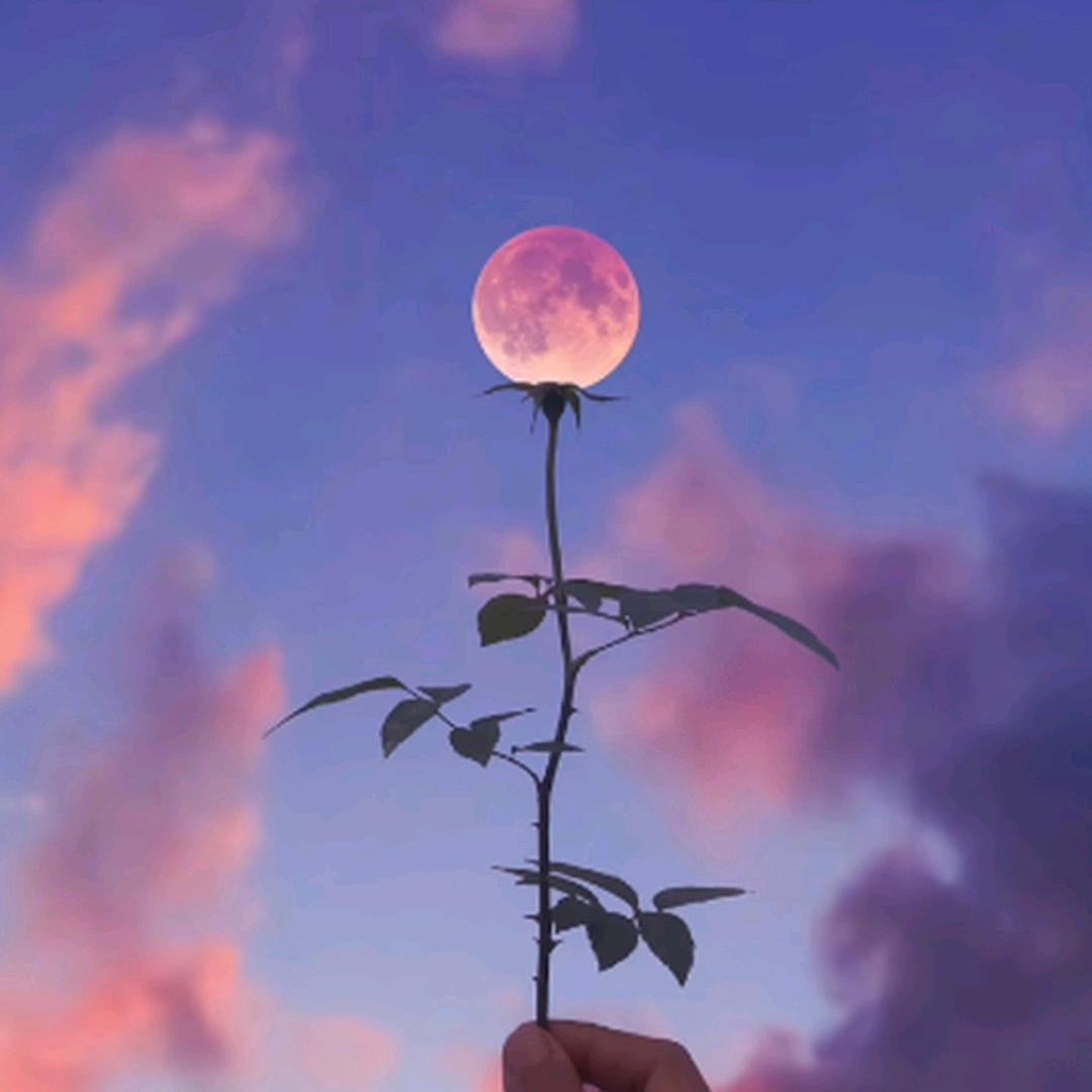 人生如梦，梦如烟