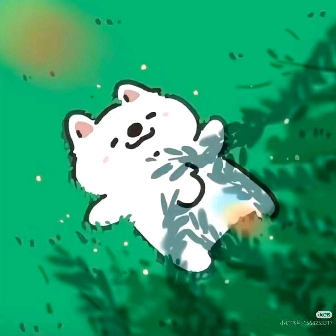李小沫