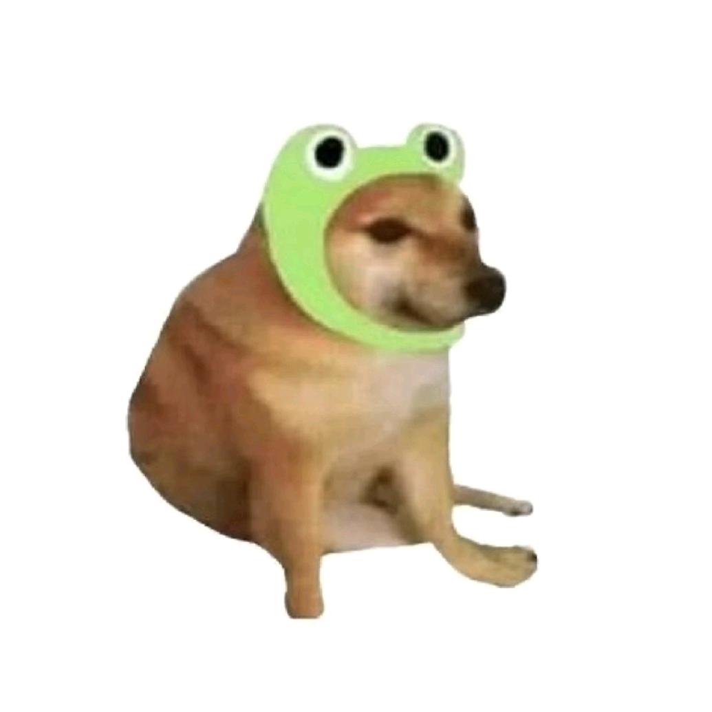 奈皮