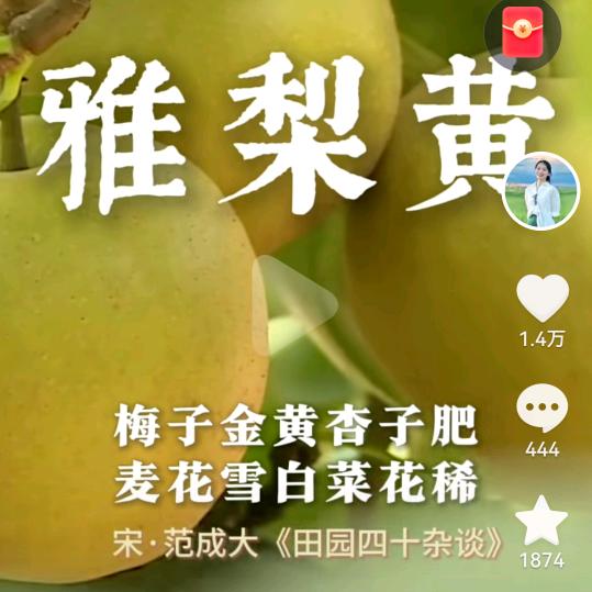 活～在～当～下