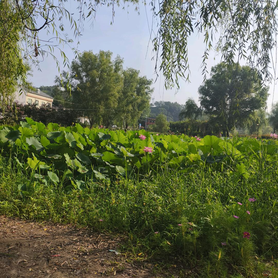 火车站源香豆制品
