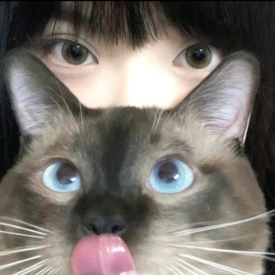 大鹅
