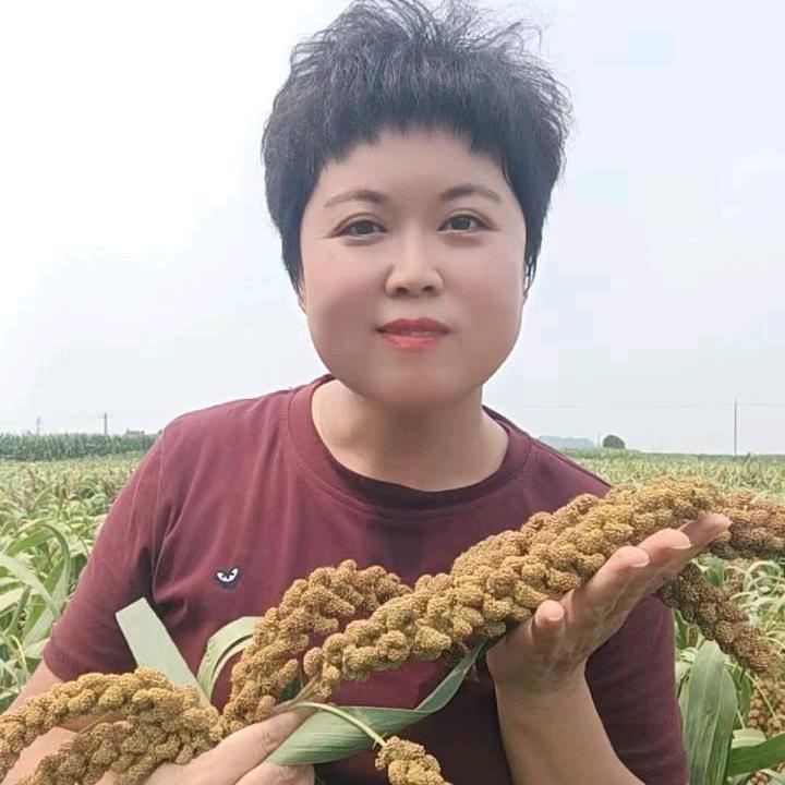 宏图卫生纸日化批发官方号