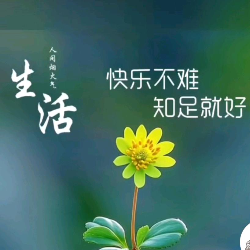 梦叶