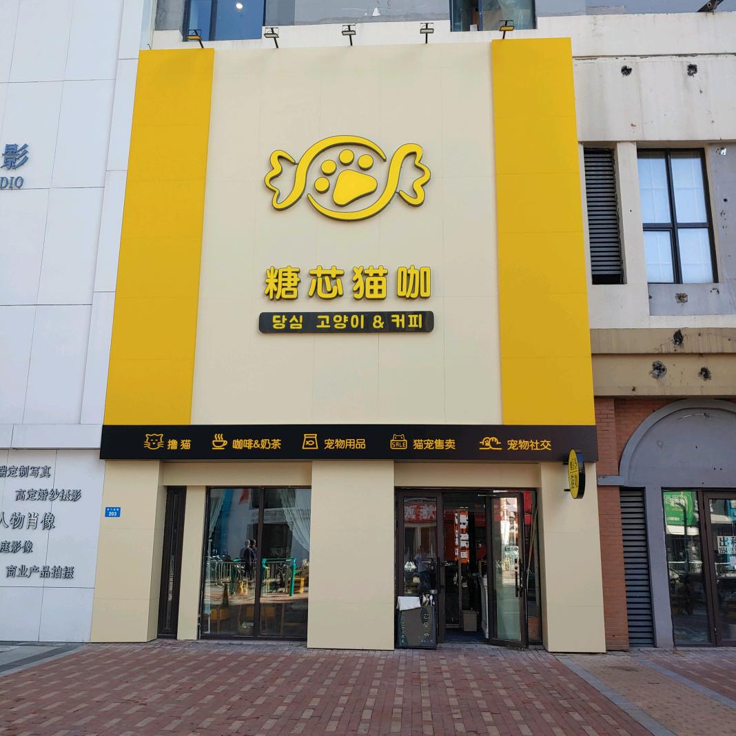 牡丹江糖芯猫咖